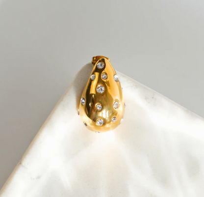 Drop Earrings